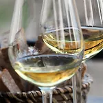 Camilla 10 Pax By Villasretreats Sarzana