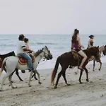 Camilla 10 Pax By Villasretreats Βίλα Sarzana